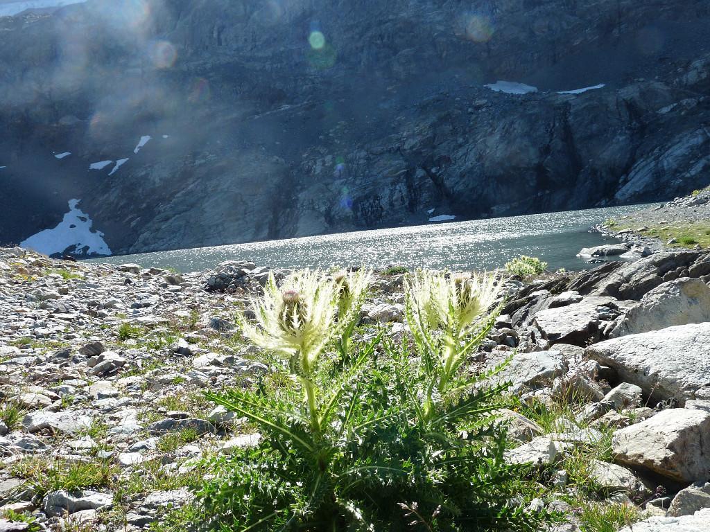 Апартаменты Le Perce Neige Вожани Экстерьер фото